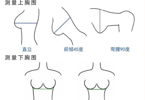 内衣尺码怎么选择，教你如何确定胸罩的尺寸