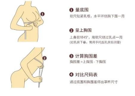 胸围怎么测量才标准，上胸围和下胸围的标准测量方法