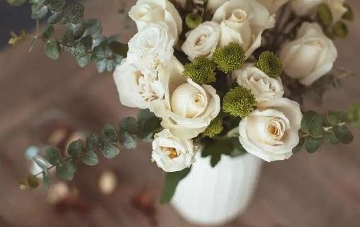 白玫瑰代表什么意思，纯洁与高贵/我尊敬你/我的心因你而融化