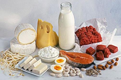 高蛋白食物主要是哪些，主要是肉类/鱼类/奶制品/豆类/蛋类