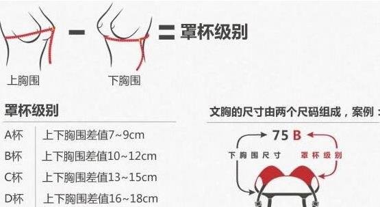 罩杯ABCD怎么分大小，教你看懂不同罩杯的差别