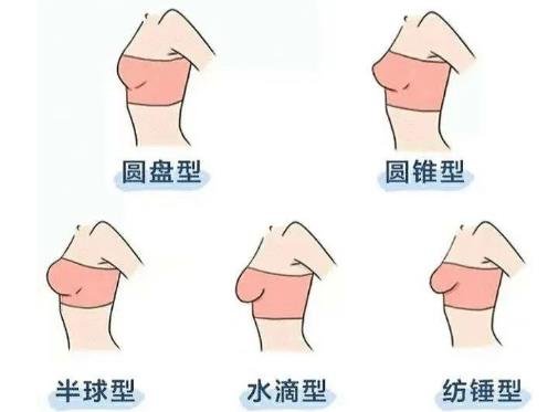 内衣怎么选尺码表，胸的罩杯尺码对照表