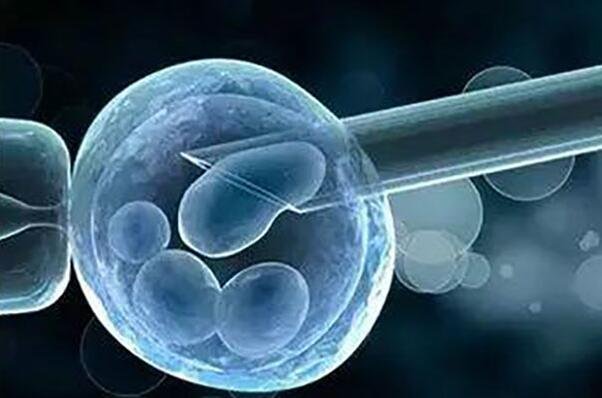 试管胚胎养囊的成功率，在40%-60%之间(6大因素所影响)